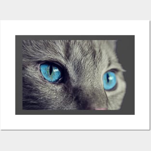 cute cat Posters and Art